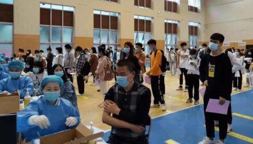 陈春花最新爆料消息直播,揭秘企业成功之道与行业变革趋势